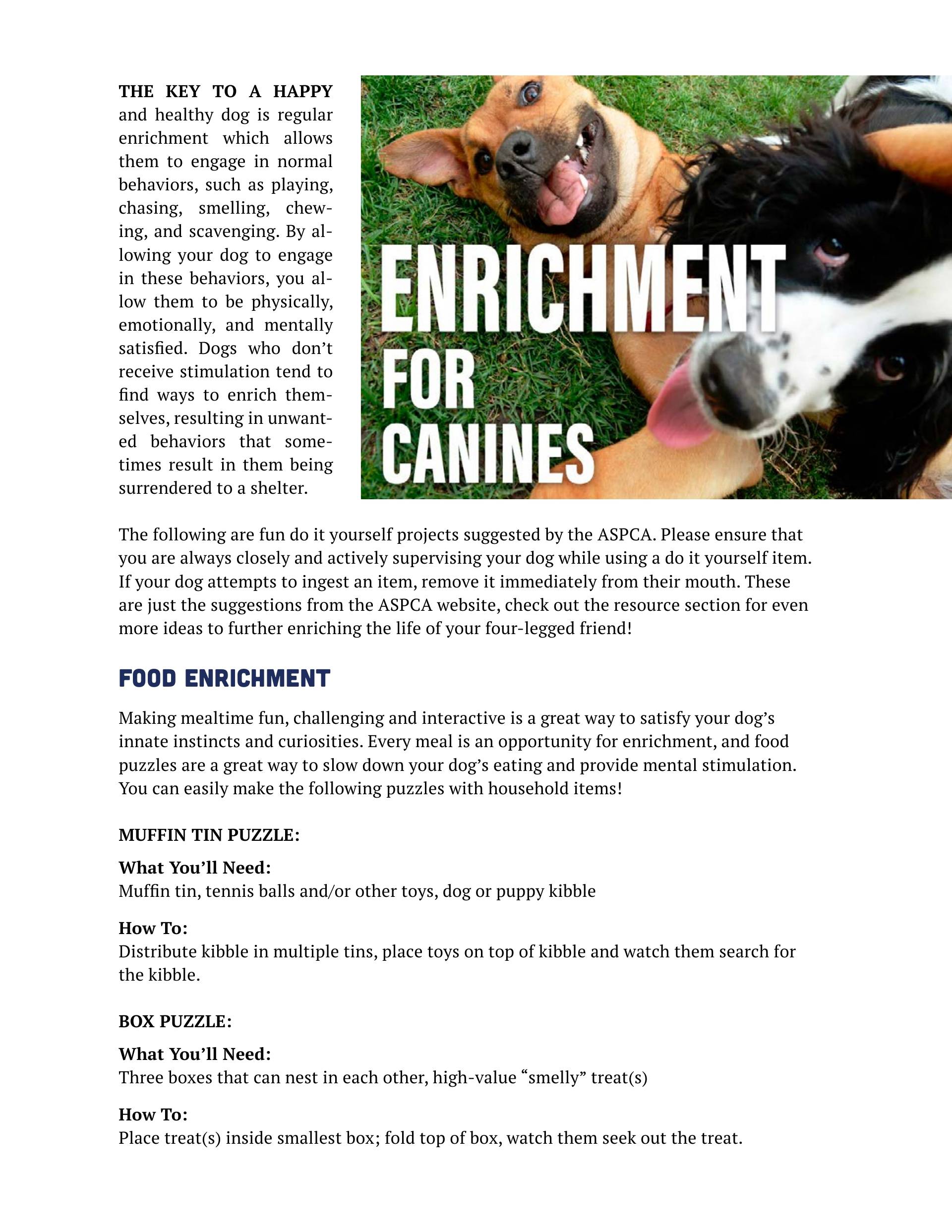 2022-04-canine-enrichment-PSA-1 - Copy